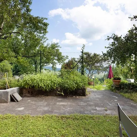 Affrescato - Palazzo Ravaschieri